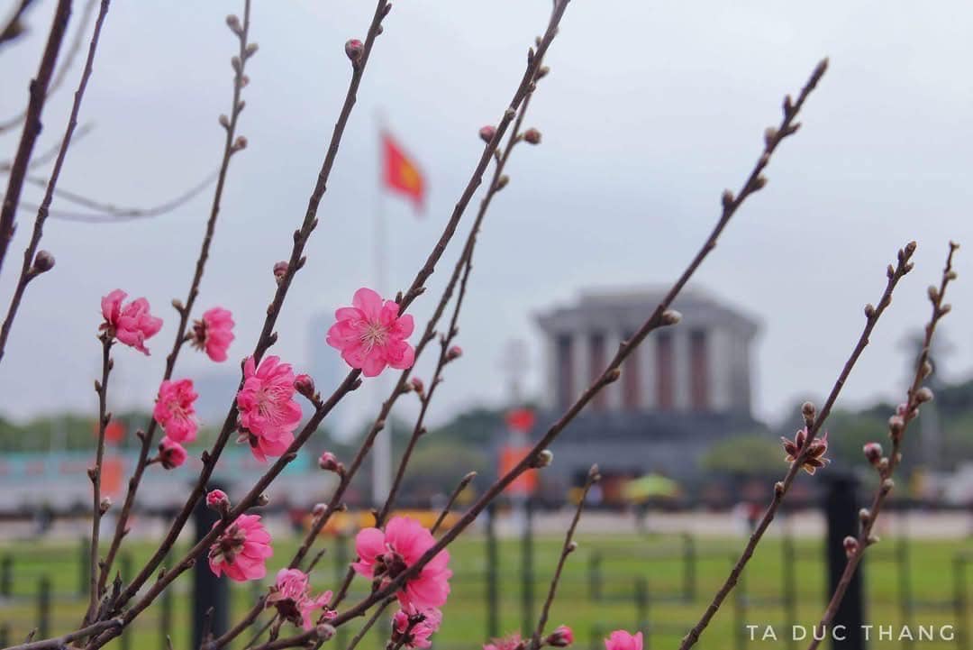 Quảng trường Ba Đình ngập tràn sắc xuân - Nơi hội tụ hồn thiêng của đất nước