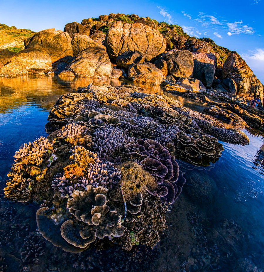 Làng chài Nhơn Lý và bãi biển trong xanh