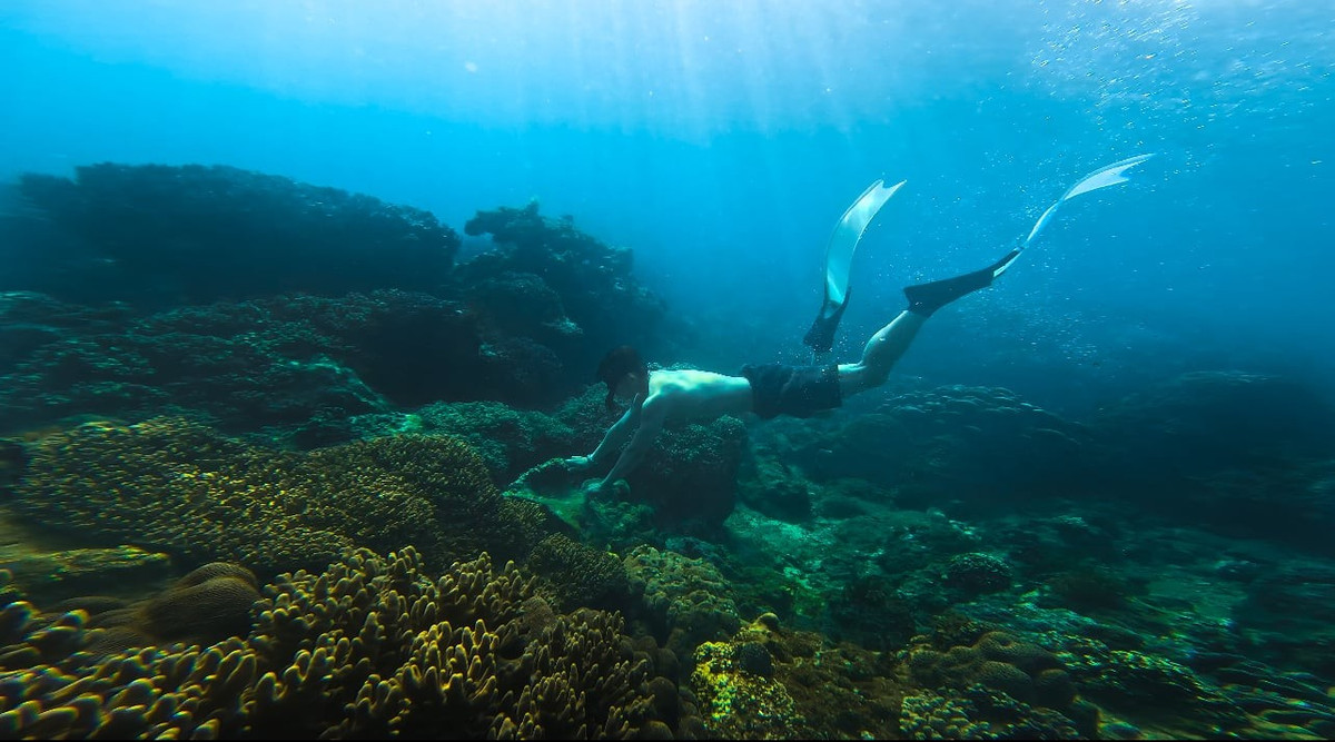 Trách nhiệm bảo tồn môi trường biển Quy Nhơn