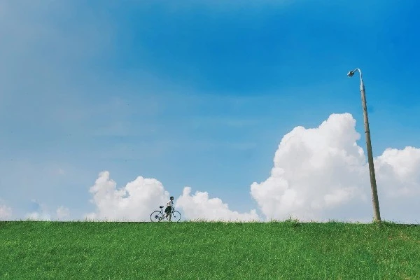 Đê Cỏ Lau Hà Nội: Góc Sống Ảo Phong Cách Nhật Bản