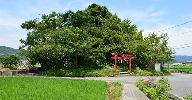 Khám phá ngọn núi thấp nhất Nhật Bản