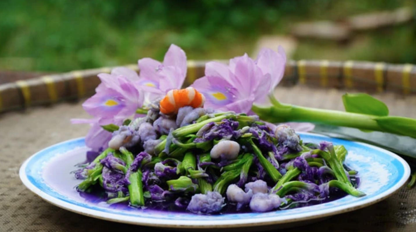 Lục bình: loài cỏ dại trước dành cho lợn nay thành đặc sản dinh dưỡng cao