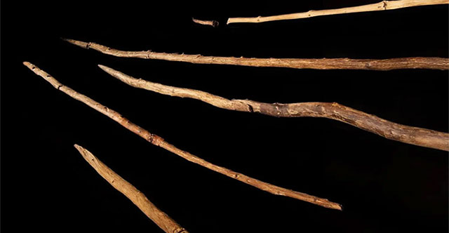 Phát hiện xưởng vũ khí 300.000 năm của loài người khác ở Đức