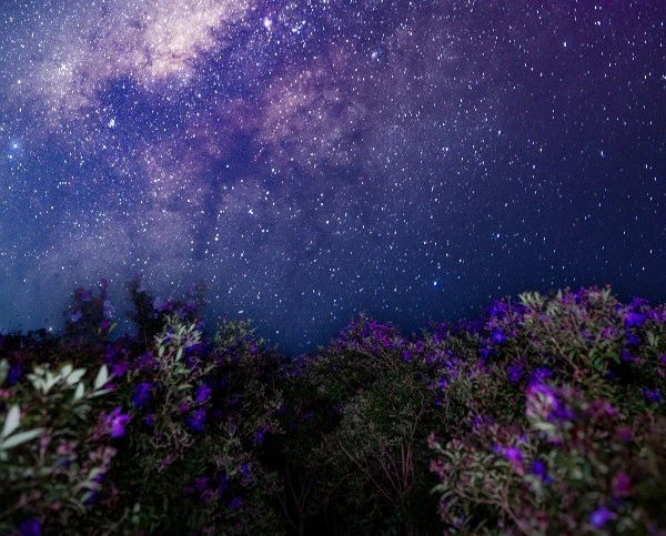 Chasing the Milky Way: Camping on Purple Sim Hill in Suoi Bon, Van Ho, Son La, Vietnam